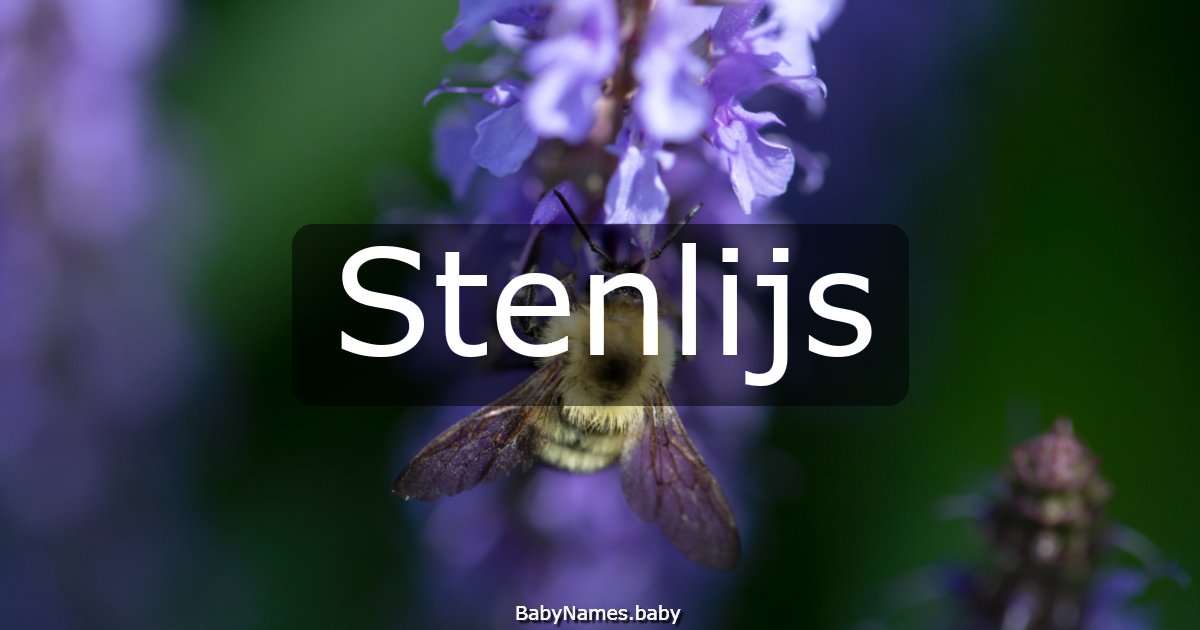 Stenlijs