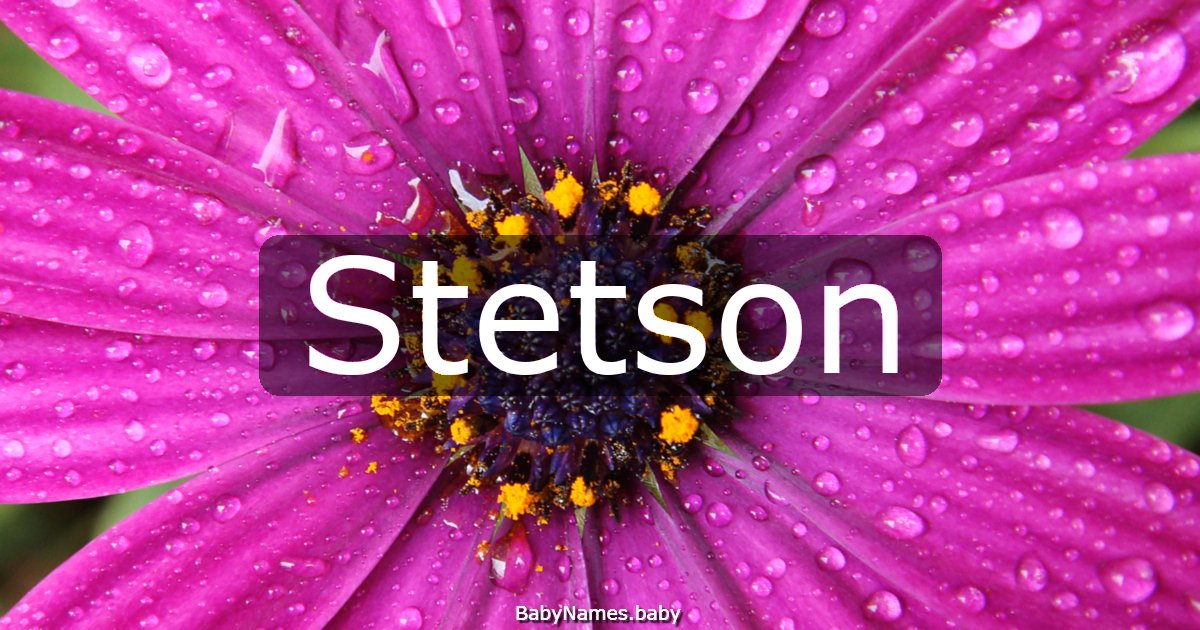 Stetson