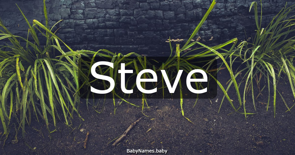 Steve