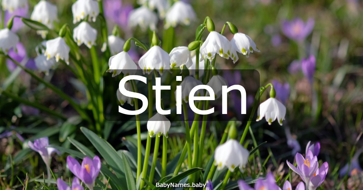 Stien