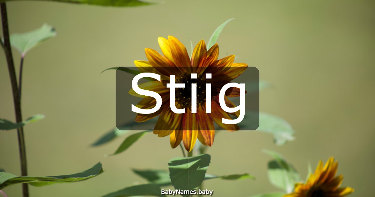 Stiig