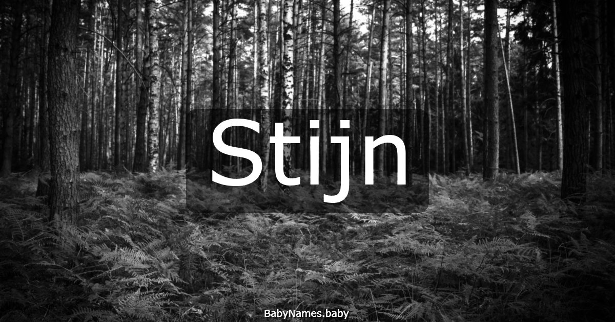 Stijn