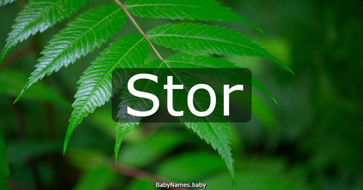 Stor
