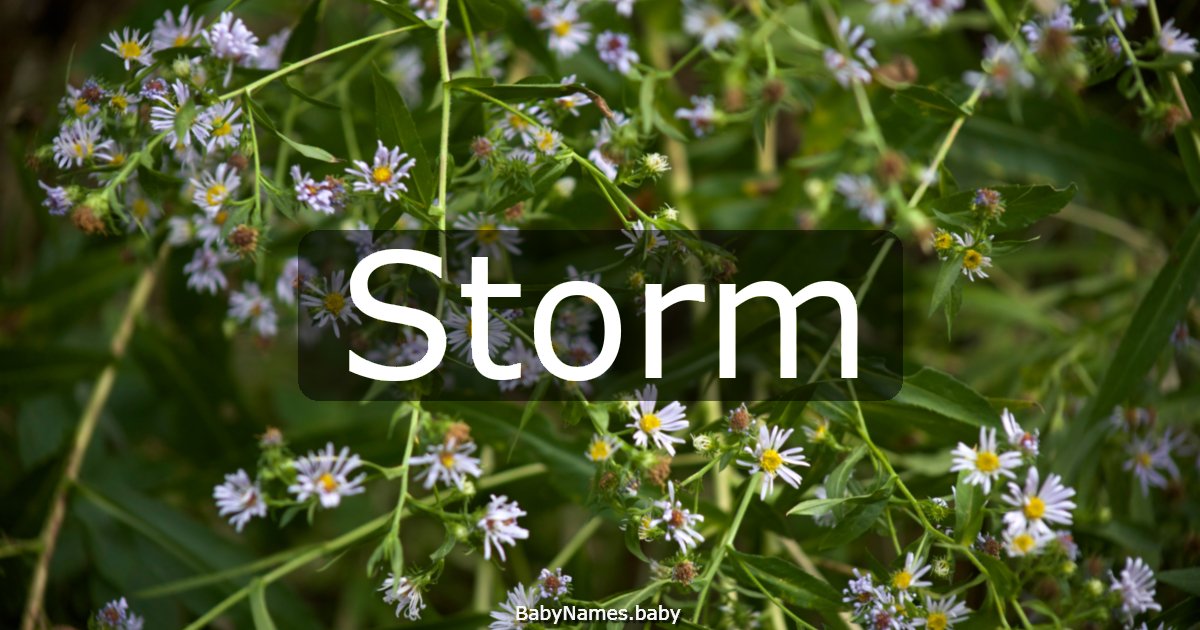 Storm
