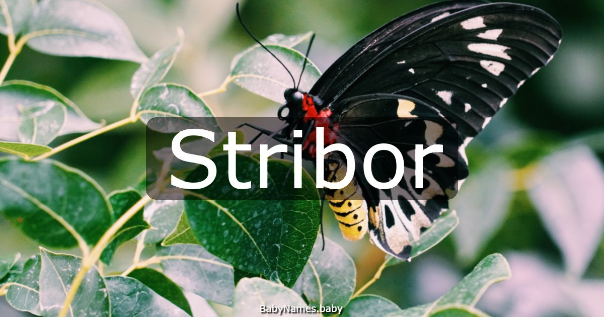 Stribor