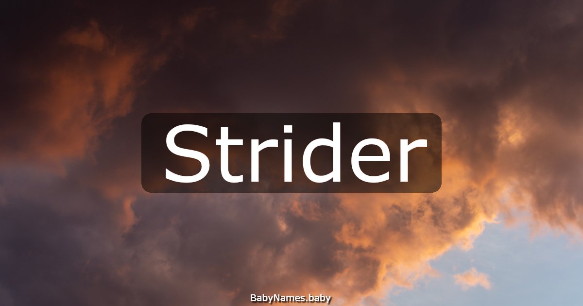 Strider
