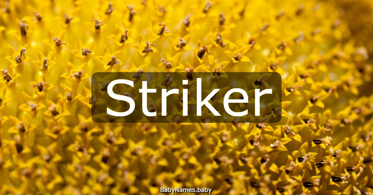 Striker