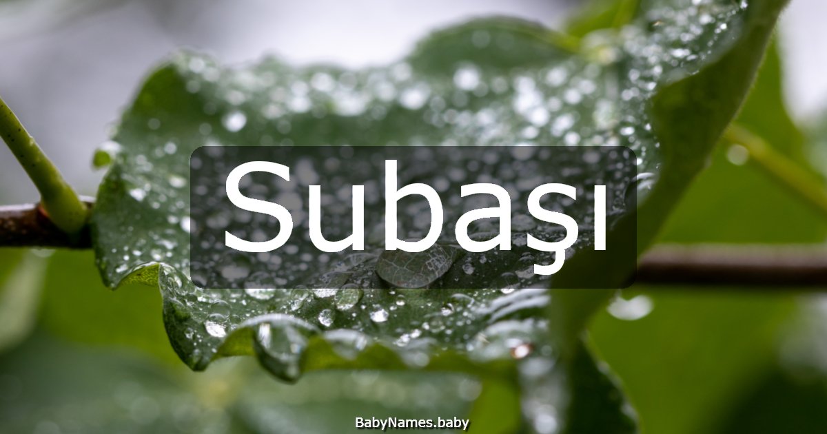 Subaşı