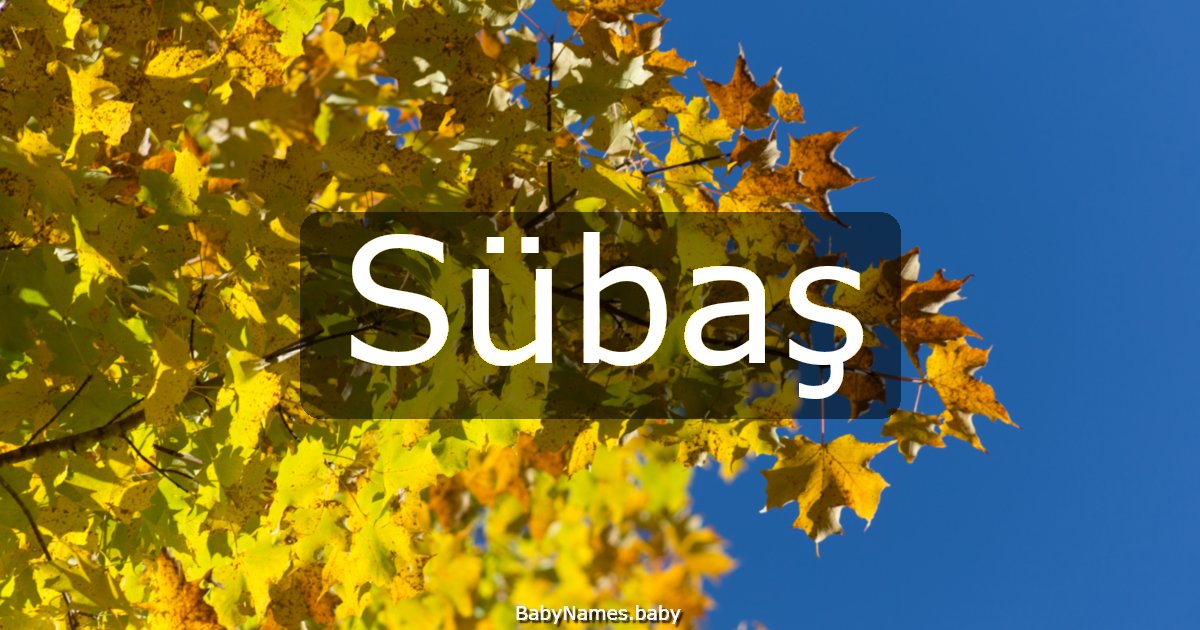 Sübaş