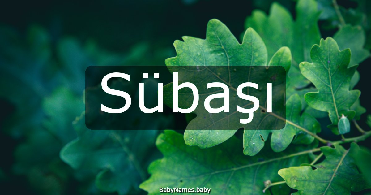 Sübaşı