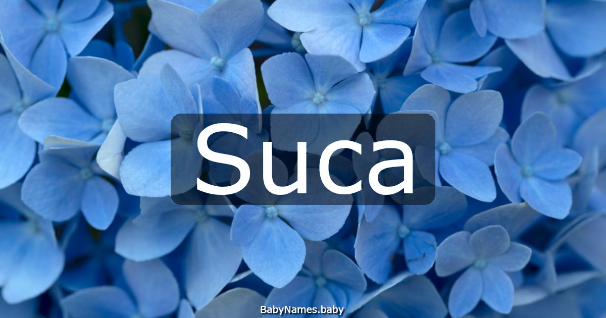 Suca