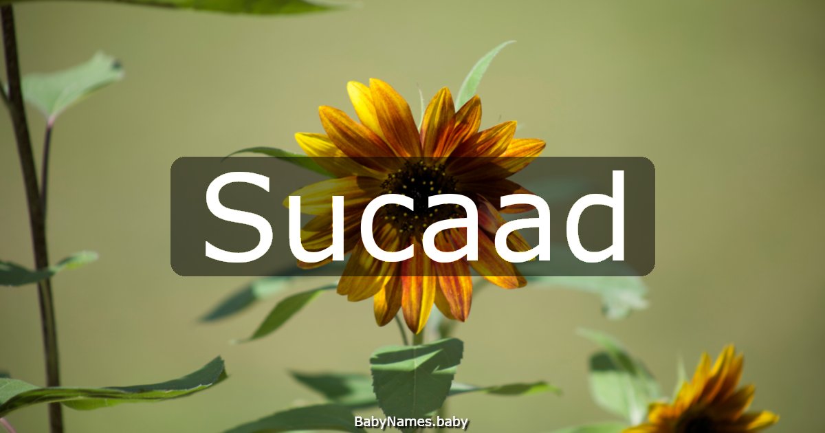 Sucaad