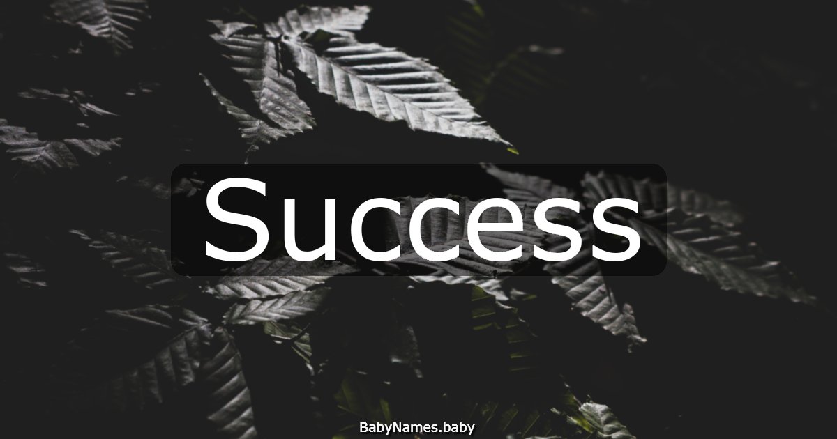 Success