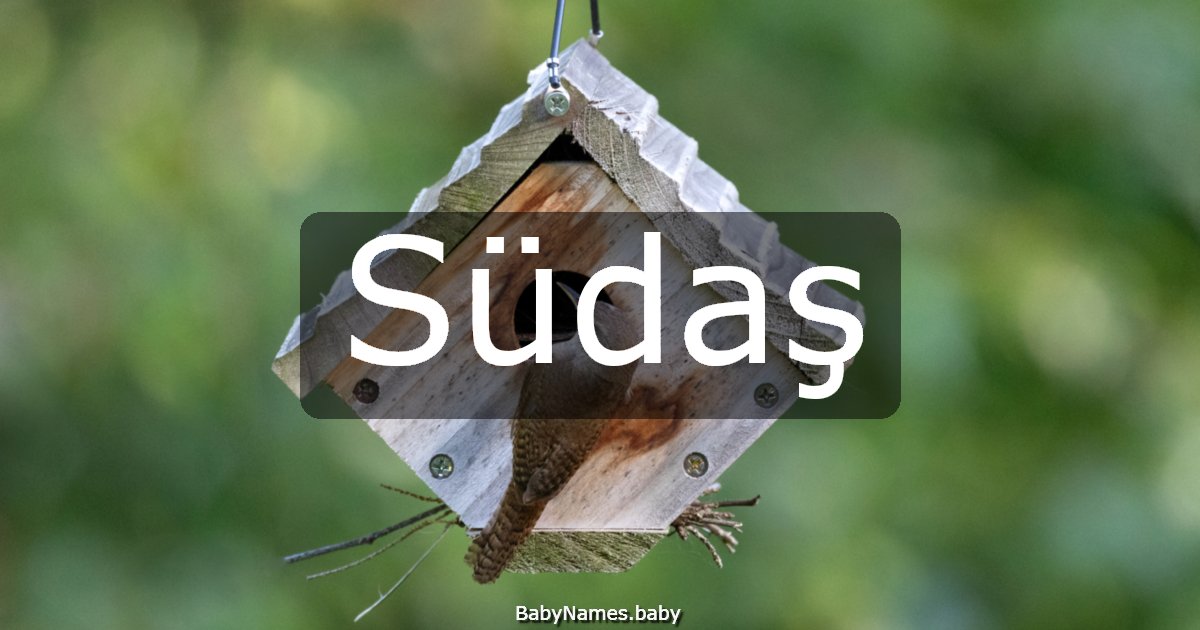 Südaş