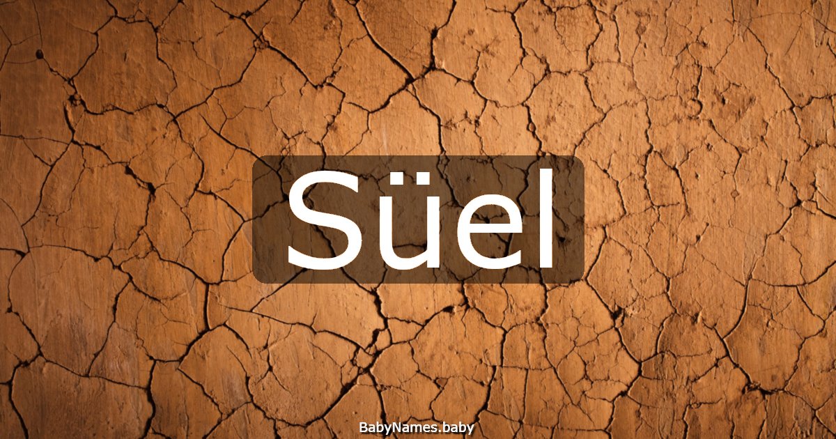 Süel