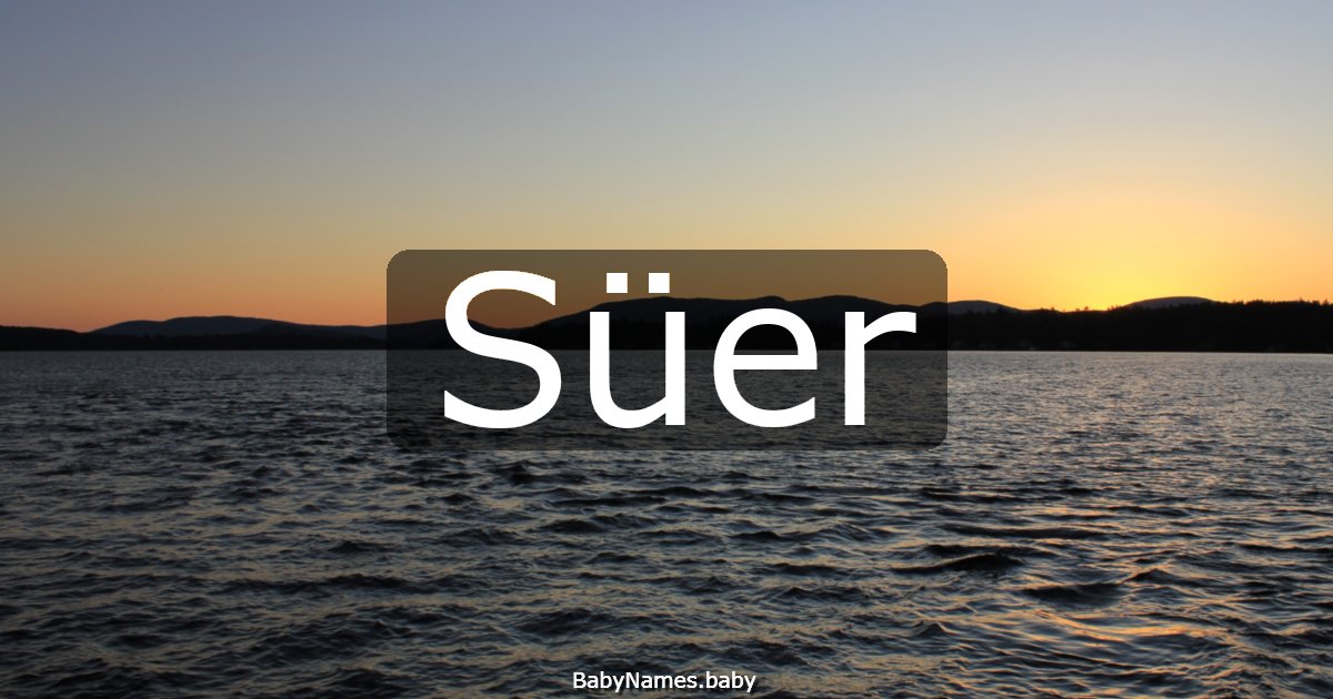 Süer