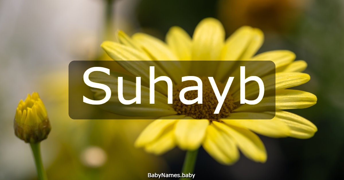Suhayb