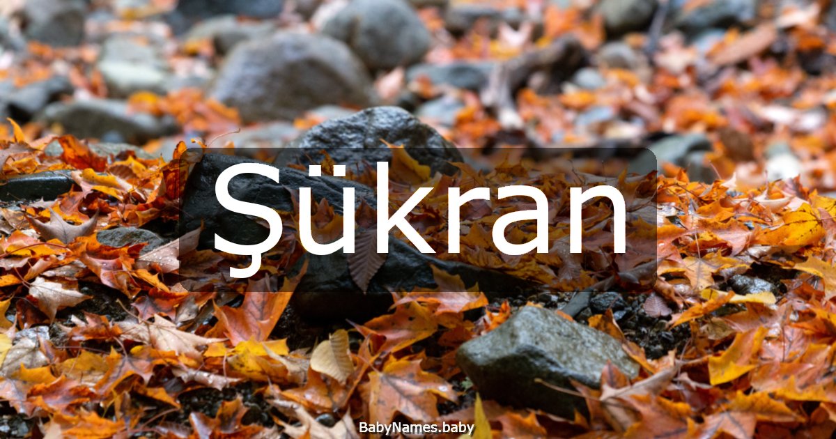 Şükran