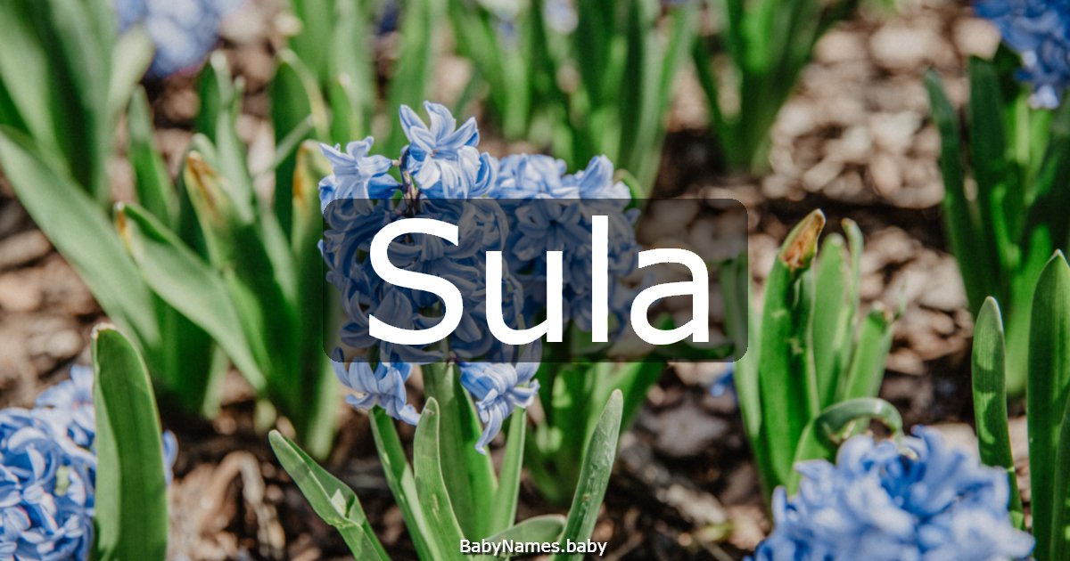 Sula