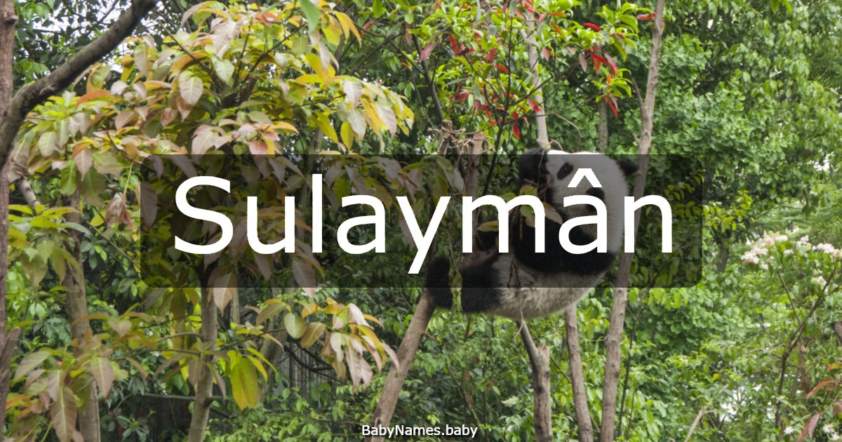 Sulaymân