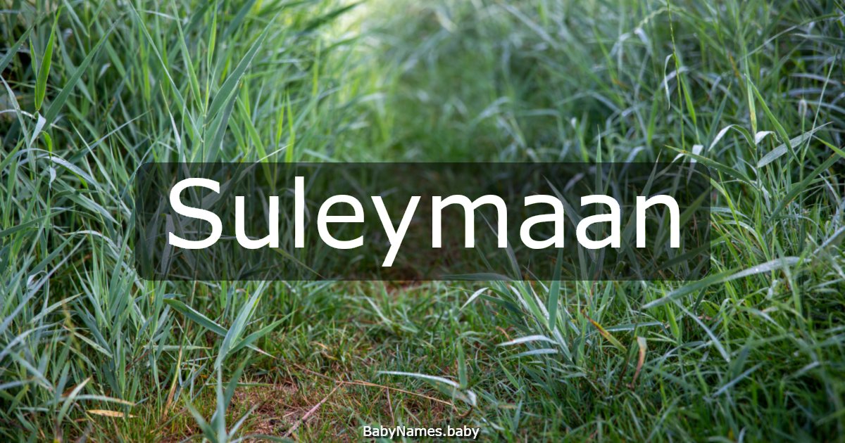 Suleymaan