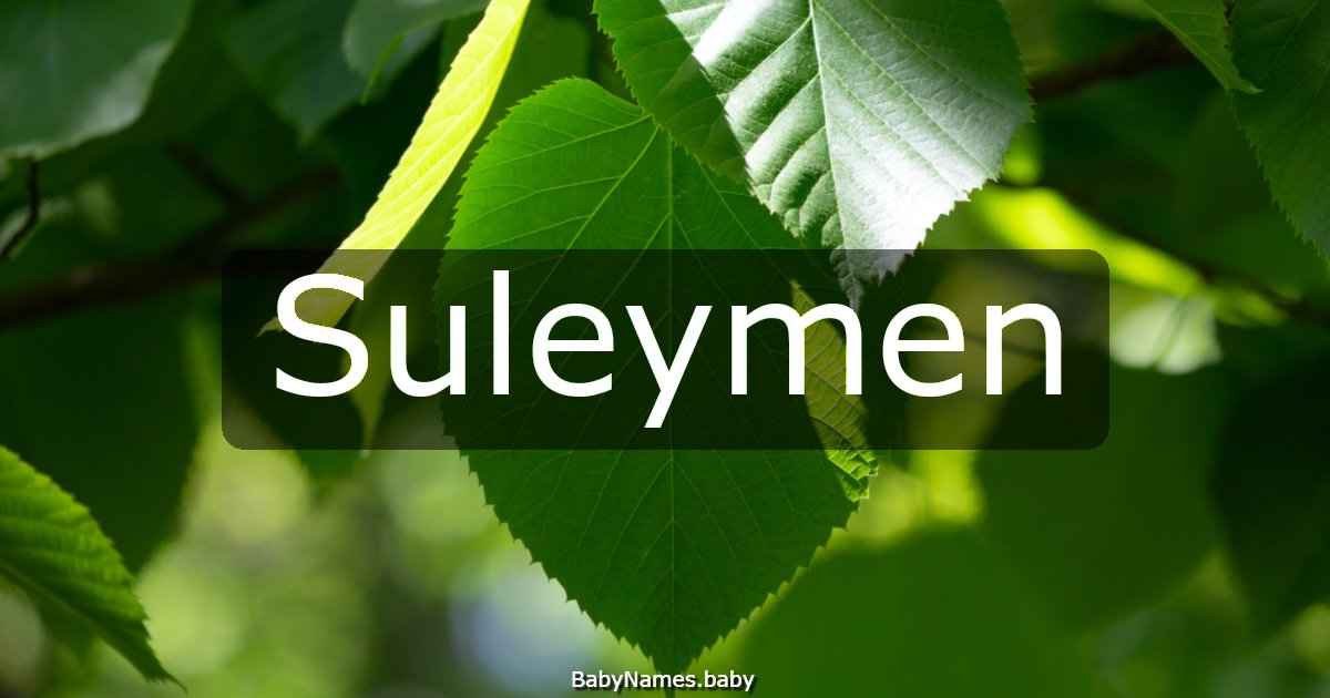 Suleymen