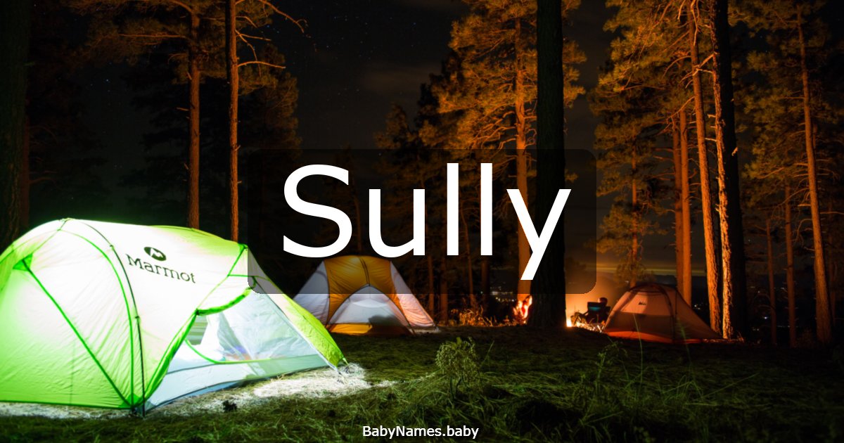 Sully