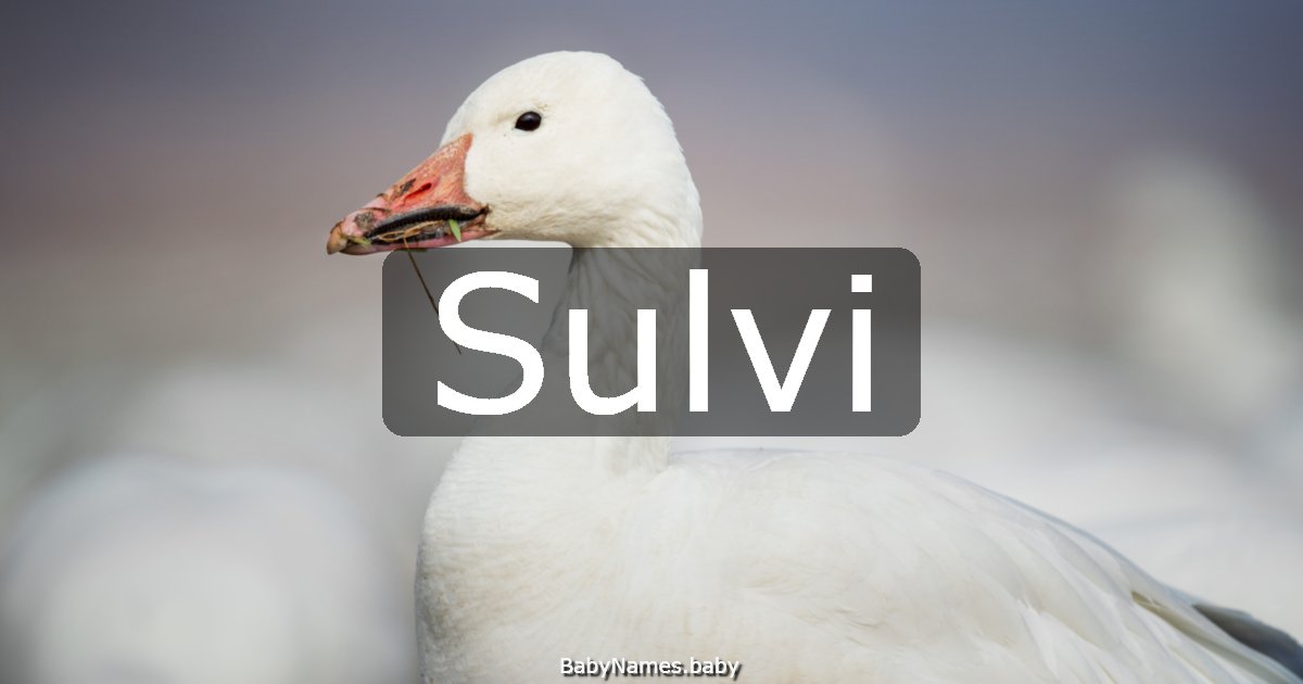 Sulvi