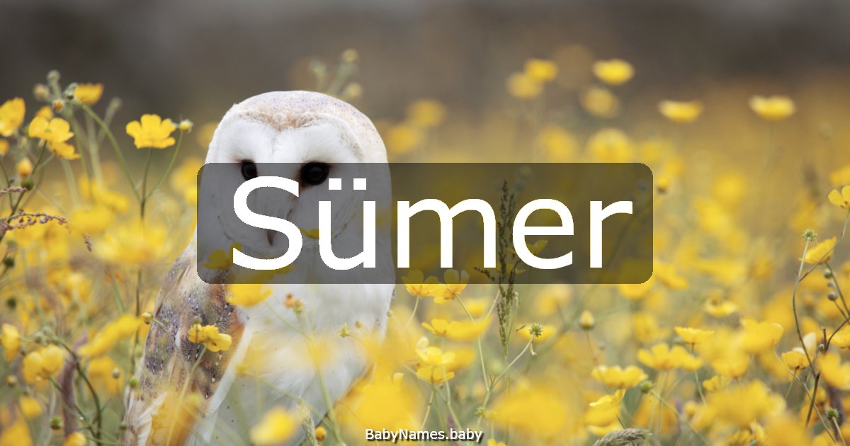 Sümer