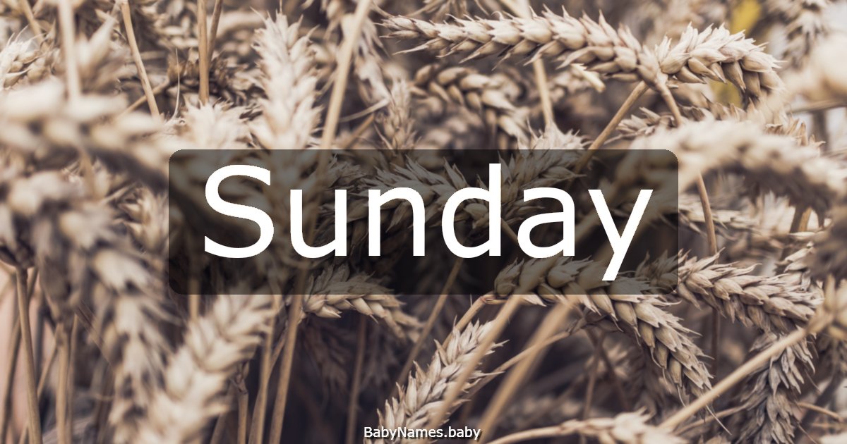 Sunday