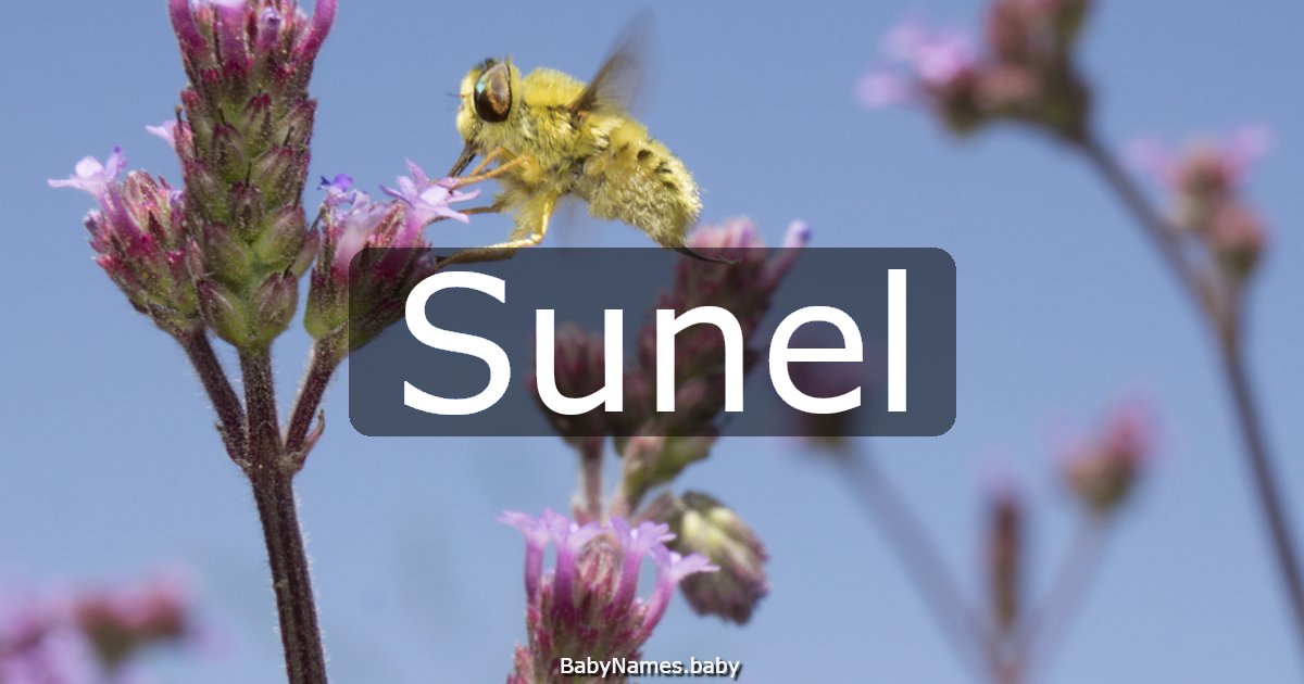 Sunel