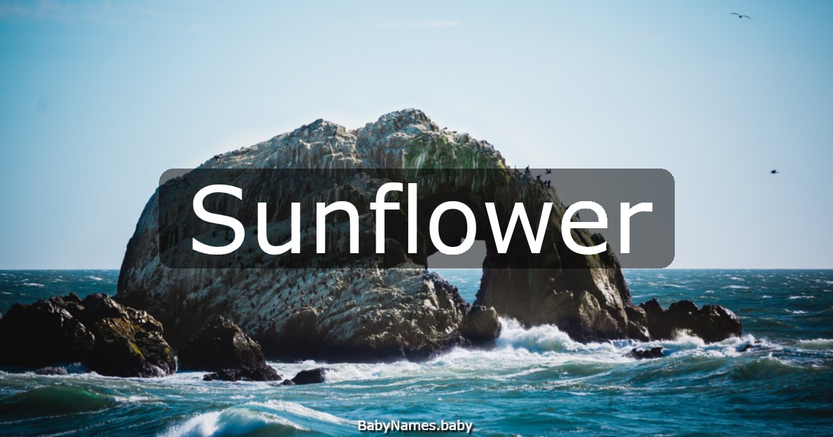Sunflower