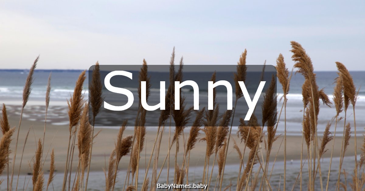 Sunny