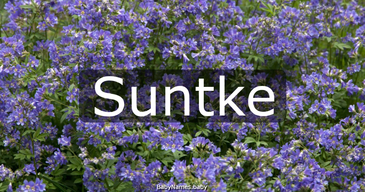 Suntke