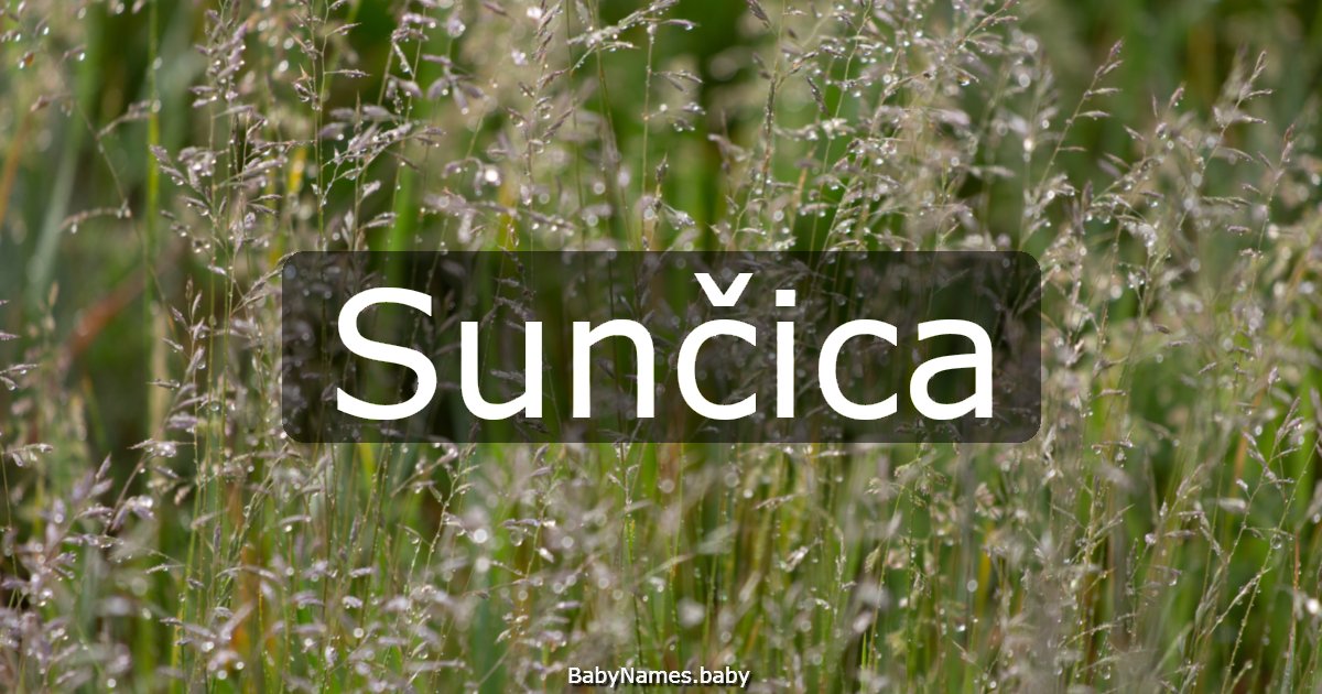 Sunčica