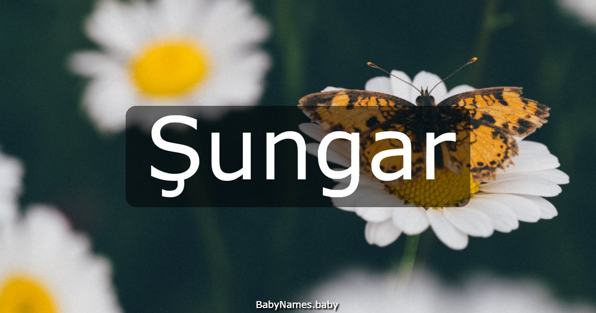 Şungar