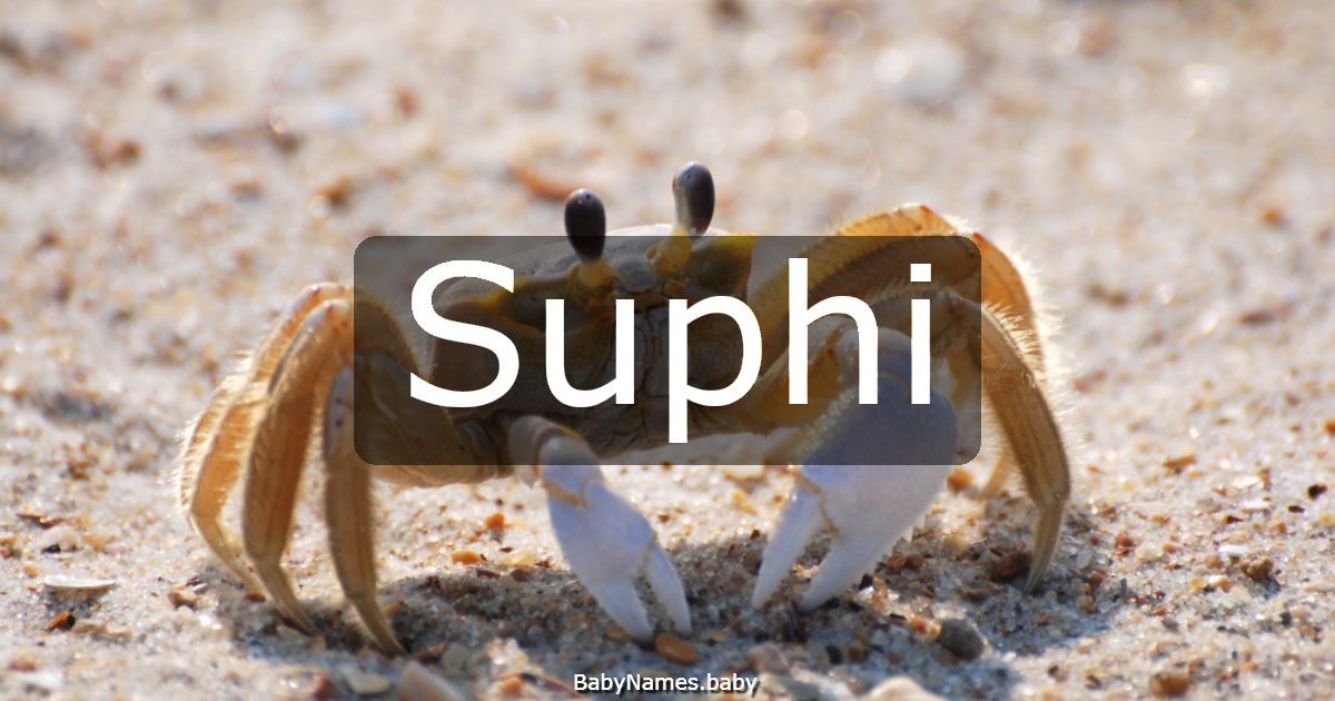 Suphi