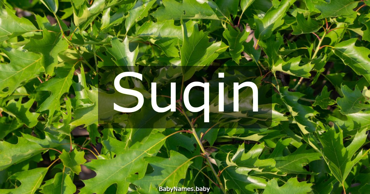 Suqin