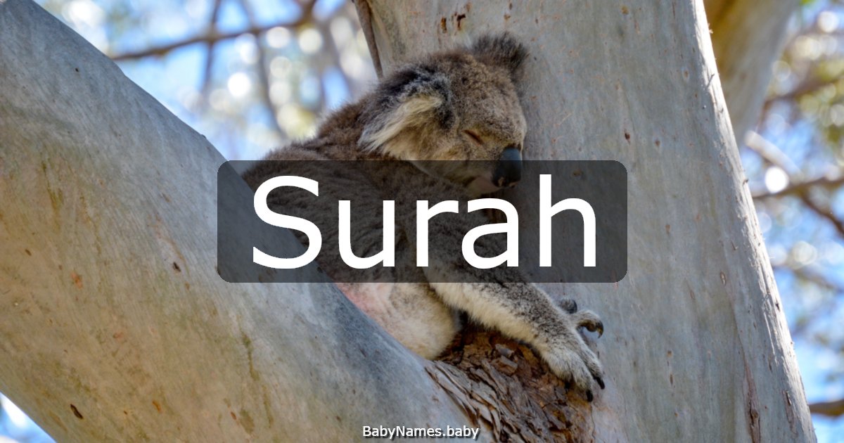 Surah