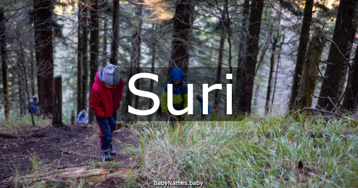 Suri
