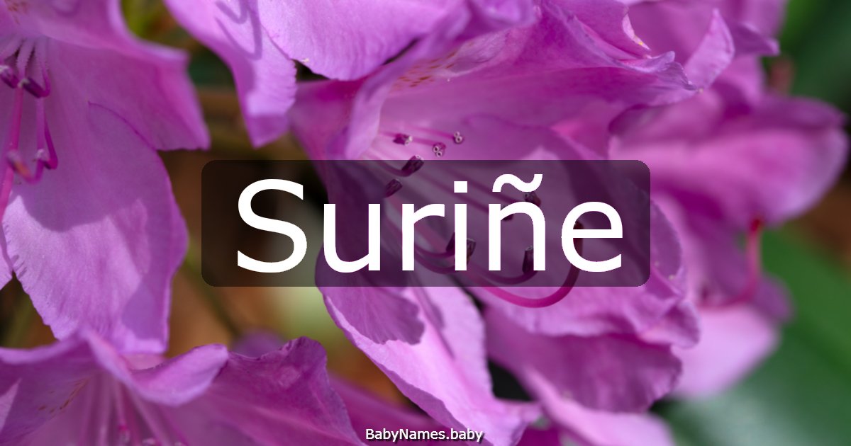 Suriñe