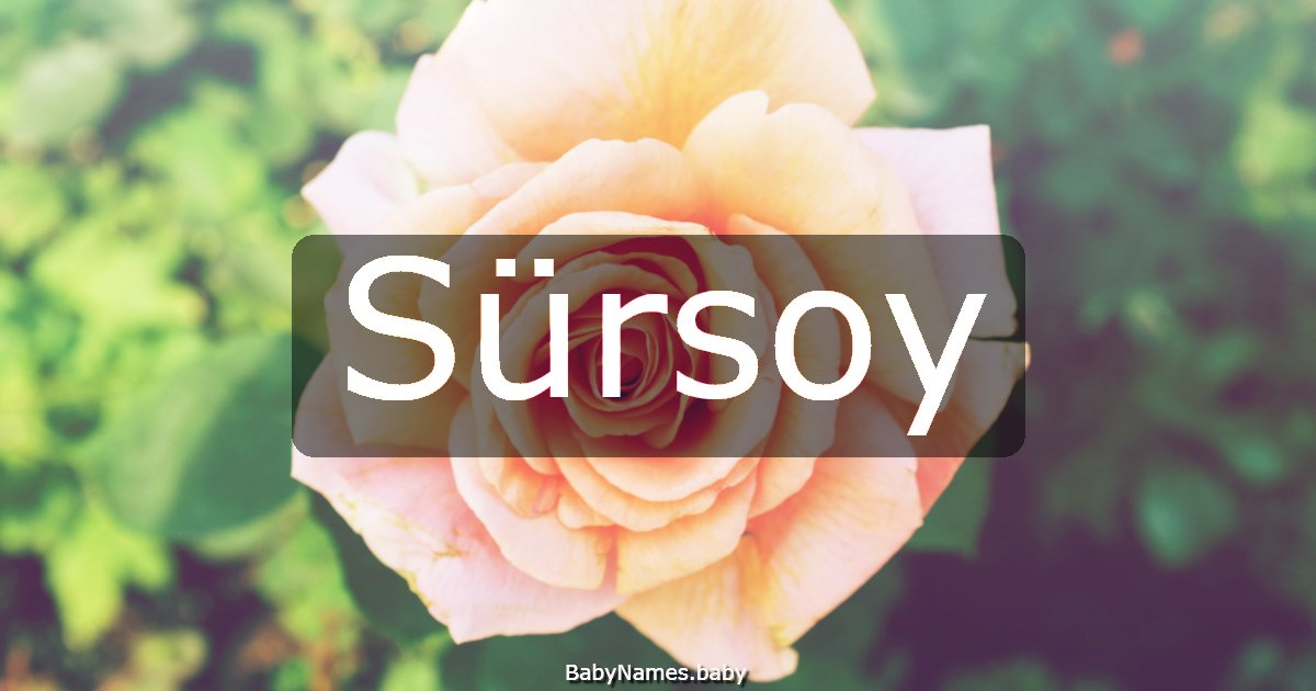 Sürsoy