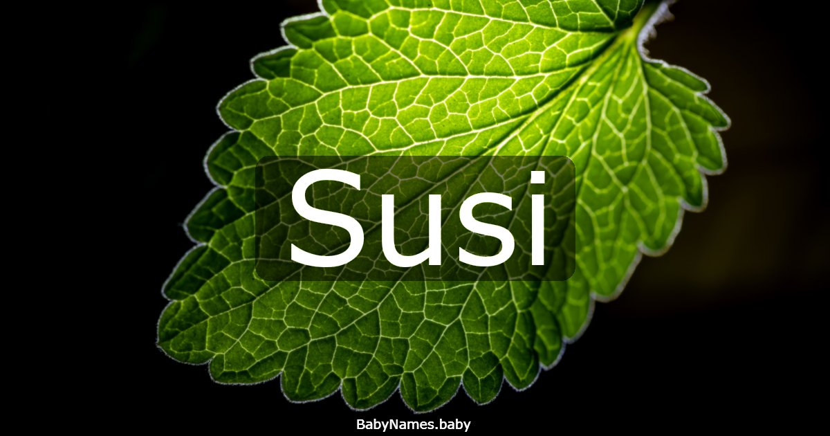 Susi