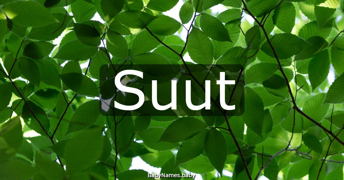 Suut