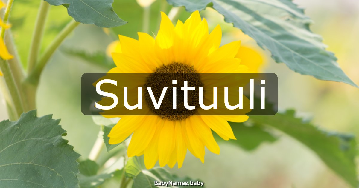 Suvituuli