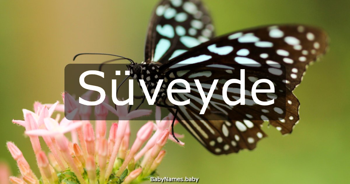 Süveyde