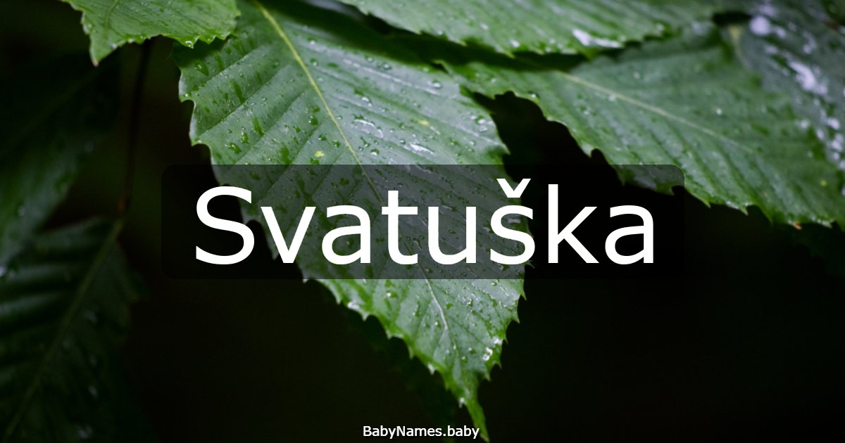 Svatuška