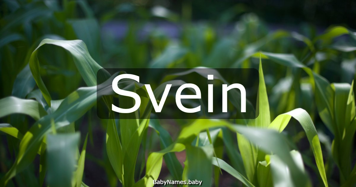 Svein