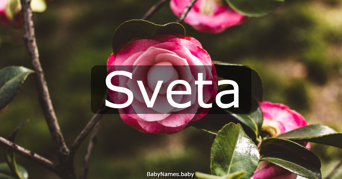 Sveta