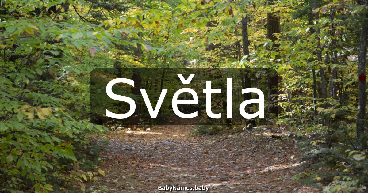 Světla